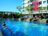 soloparagon soloparagon