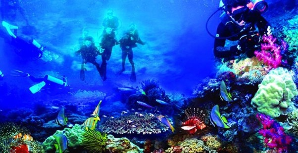 wisata bunaken