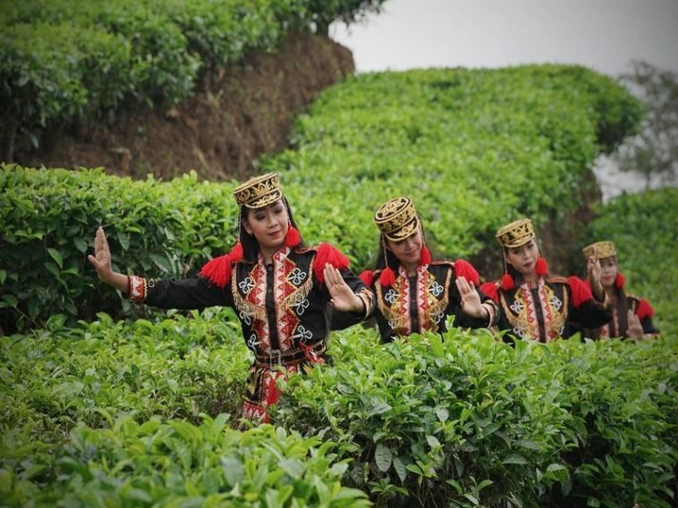 Kebun Teh Nglinggo Samigaluh