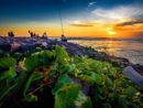 wisata pantai congot