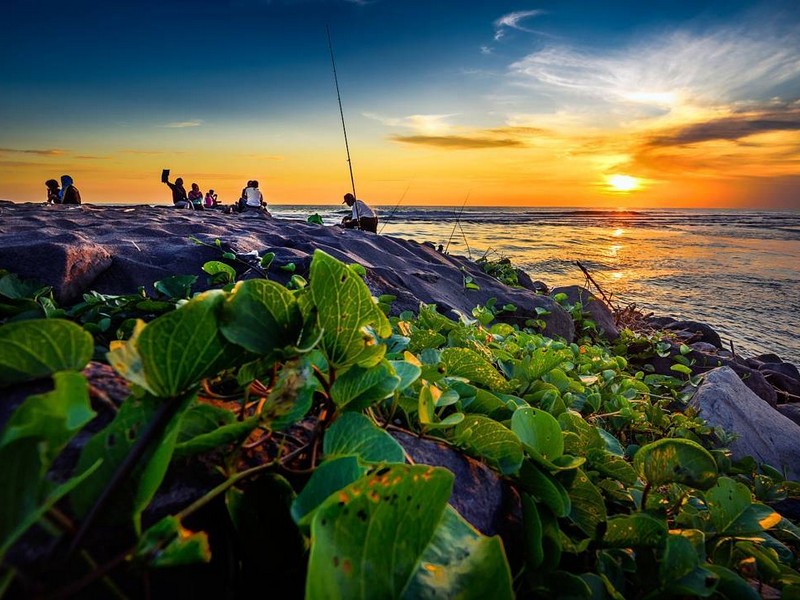 wisata pantai congot