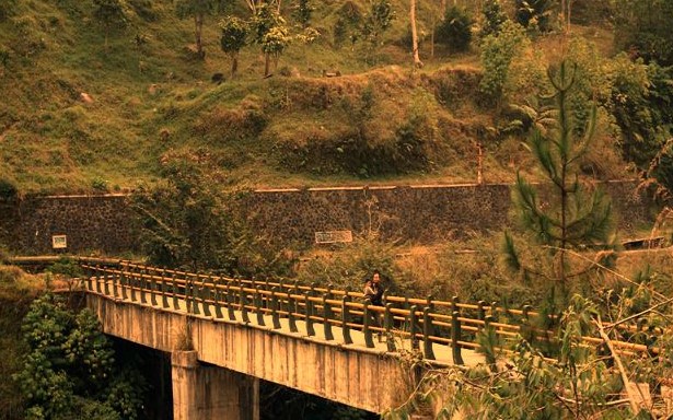 kali kuning park