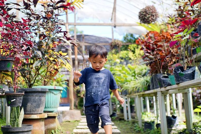 Review Agrowisata Bhumi Merapi